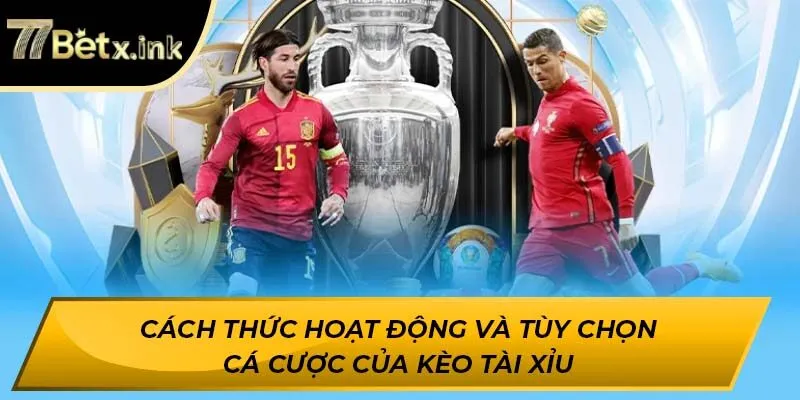 Cách thức hoạt động và tùy chọn cá cược của kèo tài xỉu