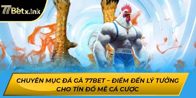 Chuyên mục đá gà 77BET – Điểm đến lý tưởng cho tín đồ mê cá cược