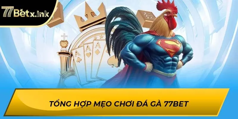 Tổng hợp mẹo chơi đá gà 77BET