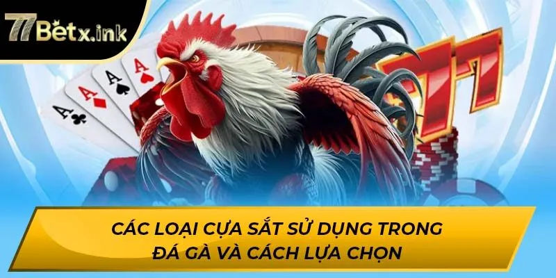 Các loại cựa sắt sử dụng trong đá gà và cách lựa chọn