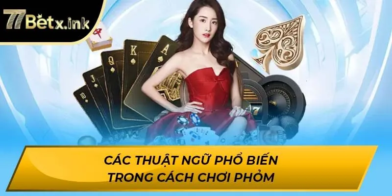 Các thuật ngữ phổ biến trong cách chơi Phỏm