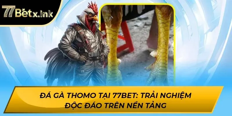đá gà thomo