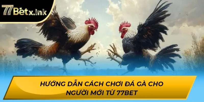 cách chơi đá gà