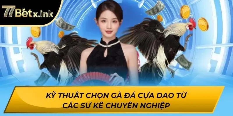 Kỹ thuật chọn gà đá cựa dao từ các sư kê chuyên nghiệp