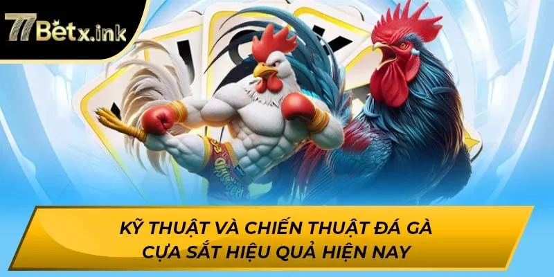 Kỹ thuật và chiến thuật đá gà cựa sắt hiệu quả hiện nay