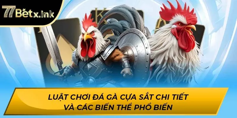 Luật chơi đá gà cựa sắt chi tiết và các biến thể phổ biến