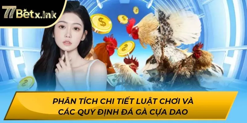 Phân tích chi tiết luật chơi và các quy định đá gà cựa dao