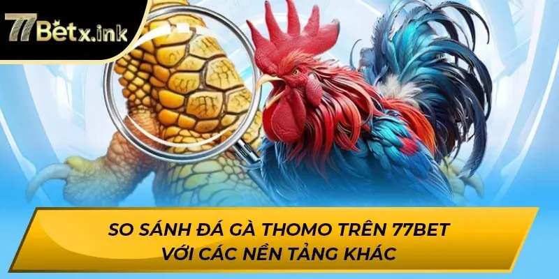 So sánh Đá Gà Thomo trên 77BET với các nền tảng khác