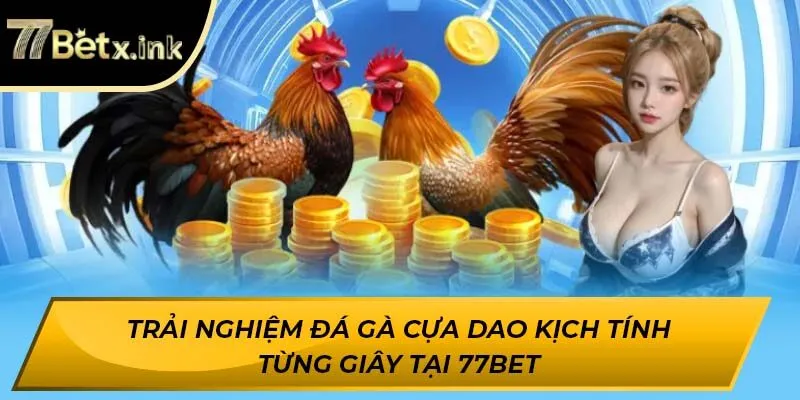 đá gà cựa dao